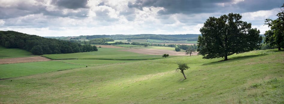 rural countryside summer landscape with green meadows and trees in french ardennes near charleville under cloudy sky in france