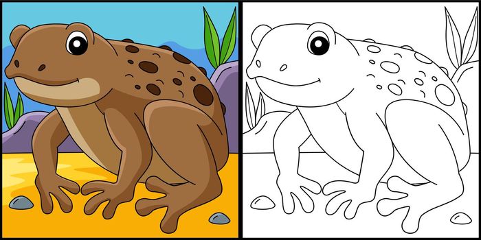 Cane Toad Frog Animal Coloring Page Illustration