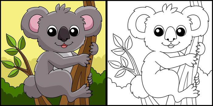 Koala Animal Coloring Page Colored Illustration