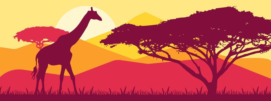 Giraffes walking in african savannah at sunset - evening landscape EPS