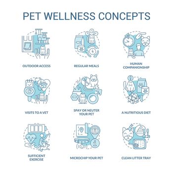 Pet wellness turquoise concept icons set