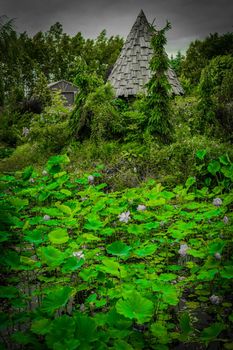 Cute hut in the woods