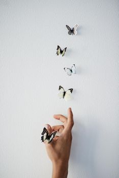 Set your dreams free. Studio shot of a unrecognizable persons hand releasing butterflies into the air on a grey background.