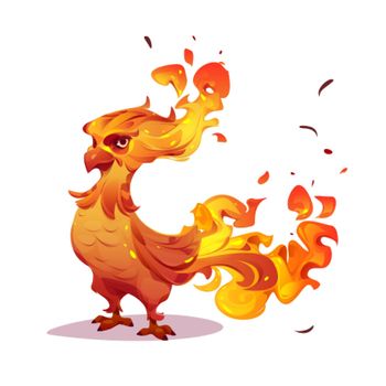 Beautiful phoenix, firebird, fenix character