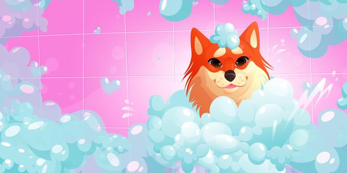 Dog washing procedure in spa or pets grooming