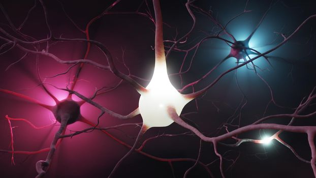 Neuron cluster signal transfer inside brain model