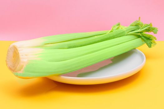 Fresh Celery Stalk on White Dish. Vegan and Vegetarian Culture