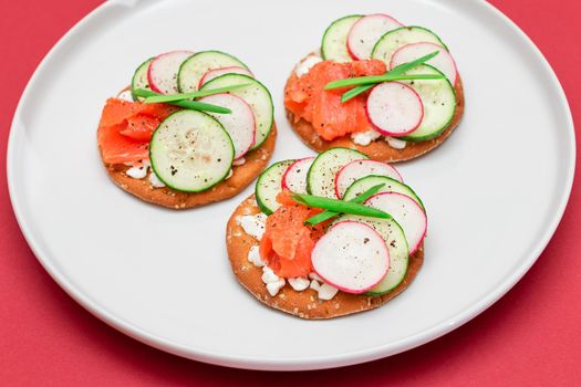 Cracker Sandwiches with Salmon, Cucumber, Radish, Cottage Cheese and Green Onions