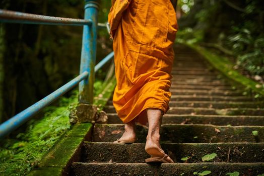 The path to enlightenment has many steps. Rearview shot of a buddhist monk climbing a flight of stone steps.