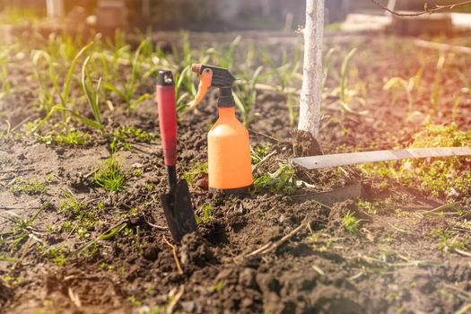 garden tools in soil, gardening