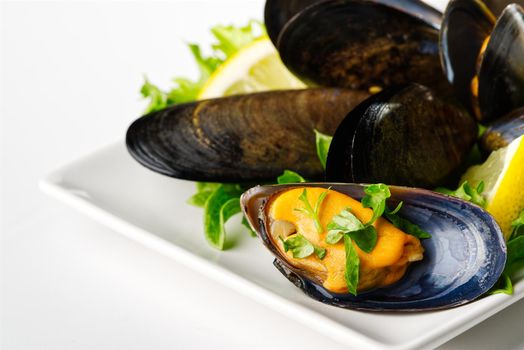 Shellfish dish. Seafood dishes. Mussels in sauce.