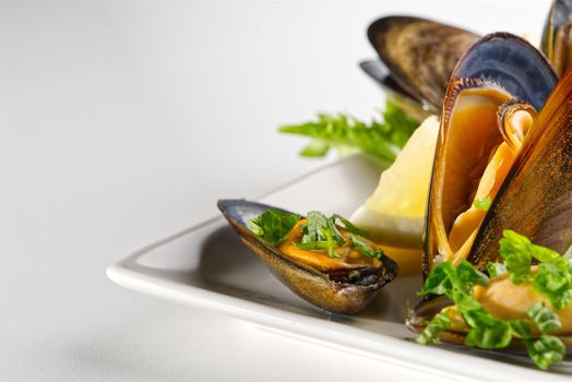 Shellfish dish. Seafood dishes. Mussels in sauce.