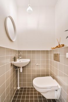 Toilet with brown tiles
