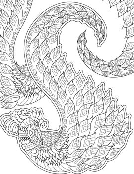 Vector line drawing peacock detailed pattern concept flowy tail. Digital lineart image elaborate feathered peafowl. Outline artwork design patterned animal.