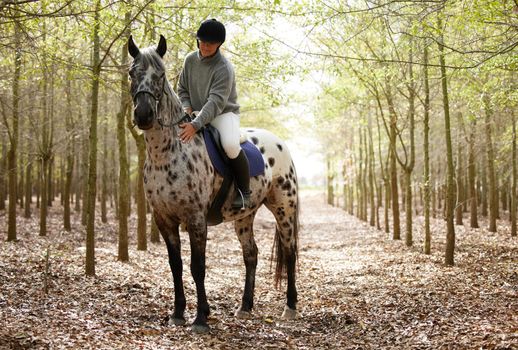 A strong connection exists between horse and equestrian. Full length shot of an attractive young woman horseback riding through the forest during the day.