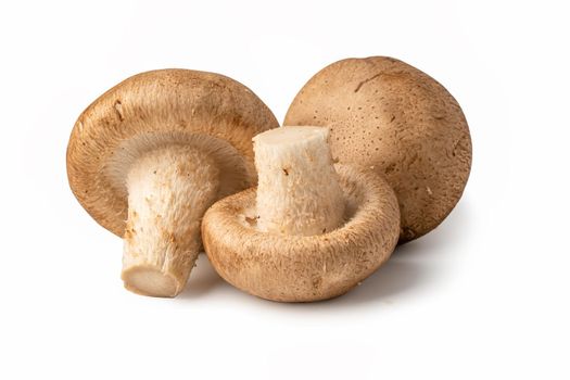 Mushroom on white background with clipping path, healthy food concept.
