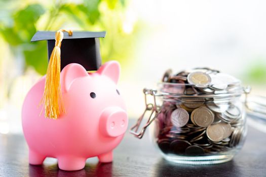 Save money coins in grass jar with piggy bank and graduation cap, Business finance education concept.