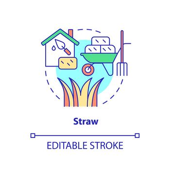 Straw concept icon
