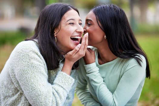 Nobody brings the funny like a study buddy. Shot of two young women telling secrets outside at college.