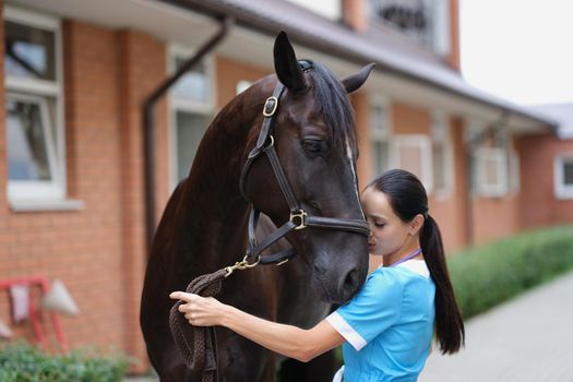 Woman veterinarian conducts medical examination of sports horse