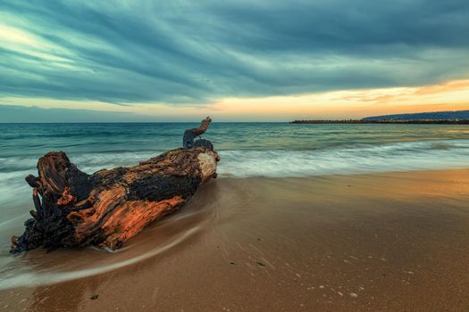 Seascape, Superb long exposure seascape with a old wood