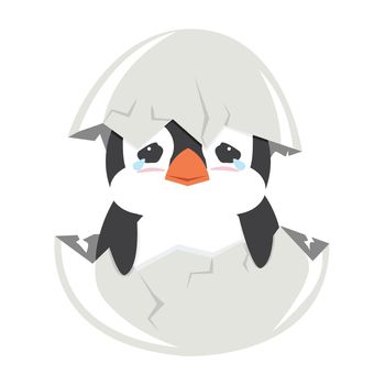 Cute baby penguin crying hatched in egg 