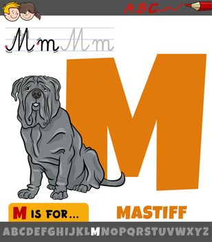 letter M from alphabet with cartoon mastiff dog