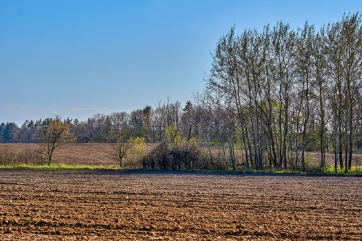 Spring arable land, plowed field prepared for planting cereals and vegetables