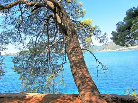 Stunning landscape view on the blue Adtiatic Sea and mountains framed by the pine trees near the Sveti Stefan, Montenegro