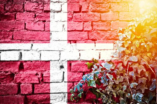 Denmark grunge flag on brick wall with ivy plant sun haze view