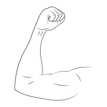 Arm biceps vector sketch illustration.