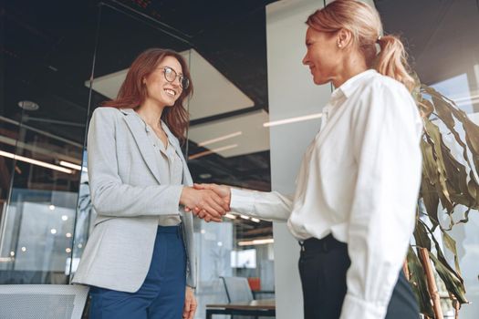two confident businesswoman are handshaking before meeting in modern office