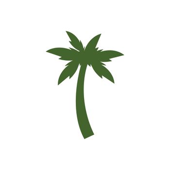 Palm tree leaf  illustration