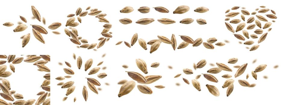 A set of photos. Barley malt grains levitate on a white background
