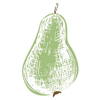 Hand Drawn Cute Little Pear Sketch. Vector Element In doodle Scribble Style.