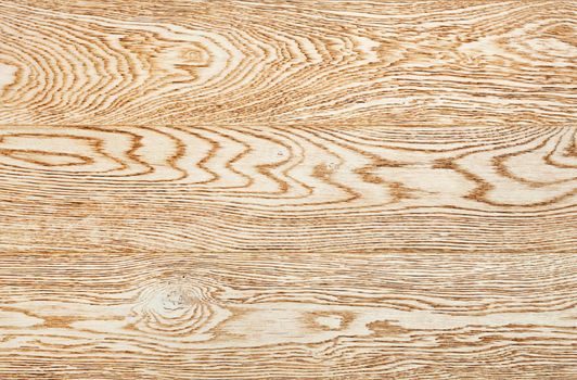 Close-up of a bright beige wood texture with long horizontal grains.