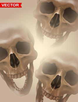Detailed graphic photorealistic human skulls