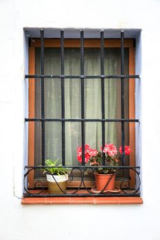 Whitewashed facade with window with forged metal grill