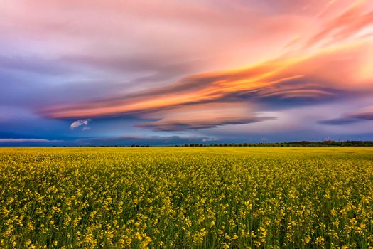 Amazing colorful clouds over the field with yellow rape