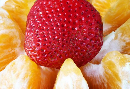Macro Close Up Fruit