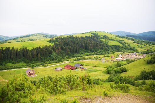 Carpathian nature in summer