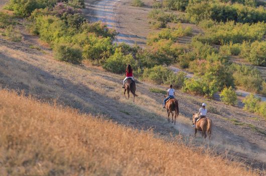 Horseback ride of a group of people