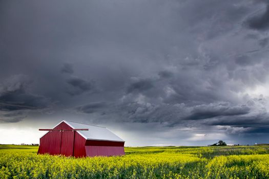 Prairie Storm Clouds
