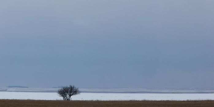 Landscape Saskatchewan Prairie