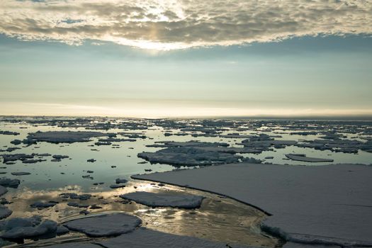 Sea ice in the Barents Sea near Franz Josef Land in summer