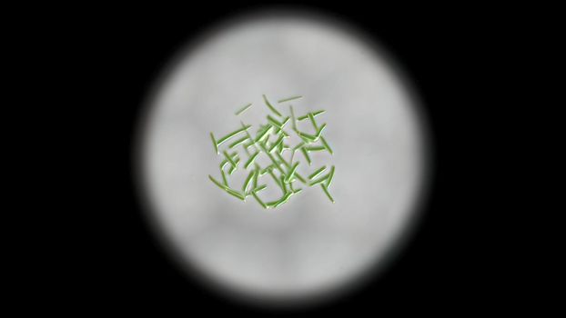 Intestinal villi with bacteria and viruses.