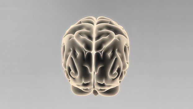 Medical 3D illustration of human brain