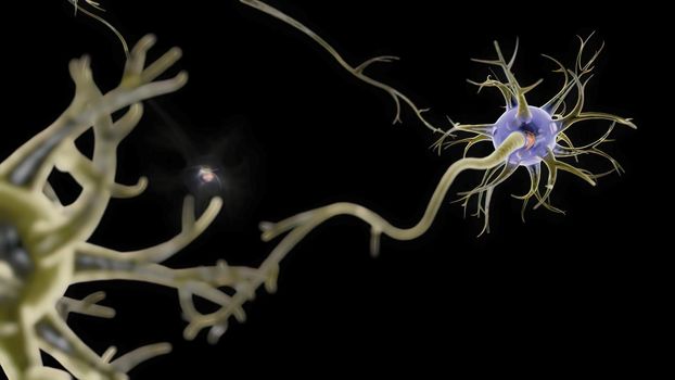 Neuronal and Synapse Activity illustration.