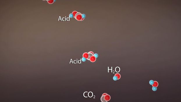 accumulation of carbon dioxide