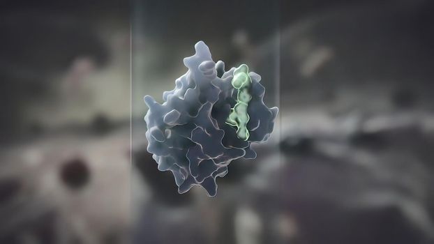 Cell that inhibits tumor growth